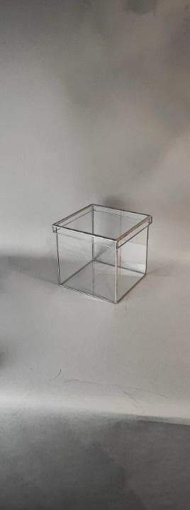 Куб стеклянный пустой с крышкой без наполнения флорариум М 20х20х20 см