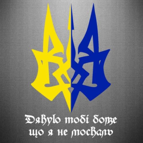 Наклейка "Дякую тобі боже що я не москаль" 27,3x40 см Желтый с синим/Белый (21562549)