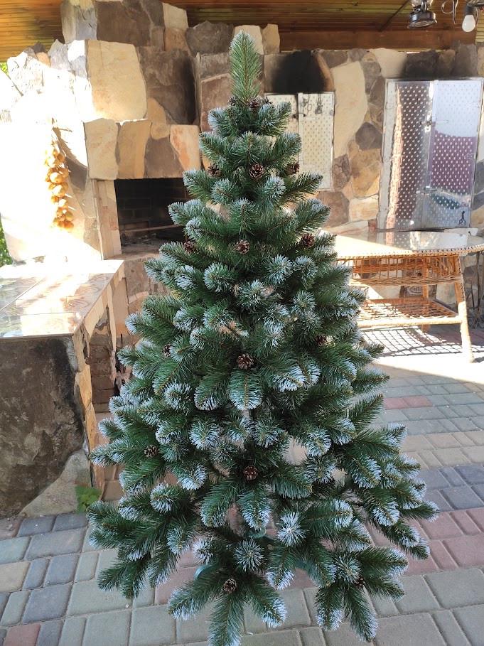 Ялинка Лідія білі кінчики та шишки 1,5 м (2368381548) - фото 4 Ялинка Лідія білі кінчики та шишки 1,5 м (2368381548) - фото 4