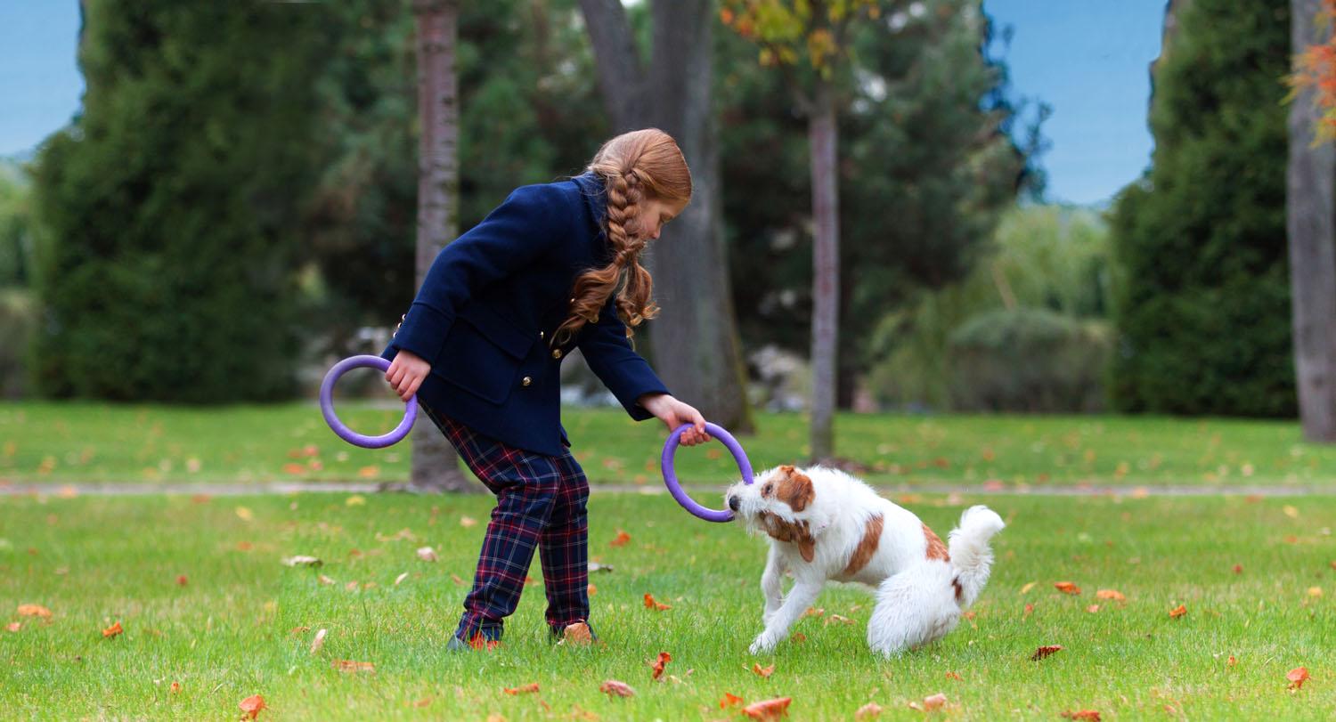 Тренувальний снаряд для собак Puller Mini 18 см (6491) - фото 16 Тренувальний снаряд для собак Puller Mini 18 см (6491) - фото 16