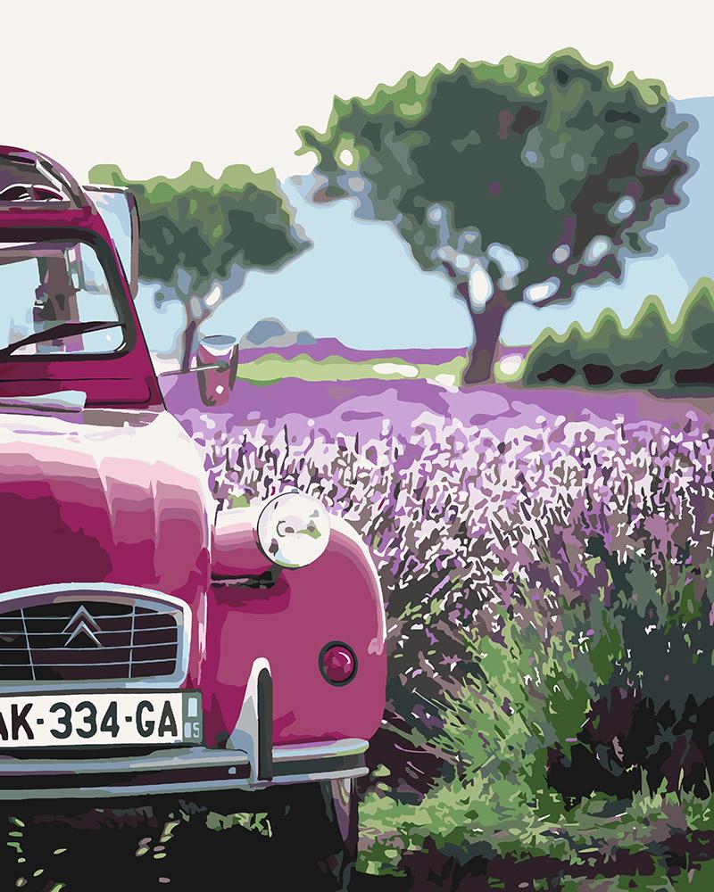 Картина по номерам Идейка "Случайная остановка" 40х50 см (skl-КНО2264)