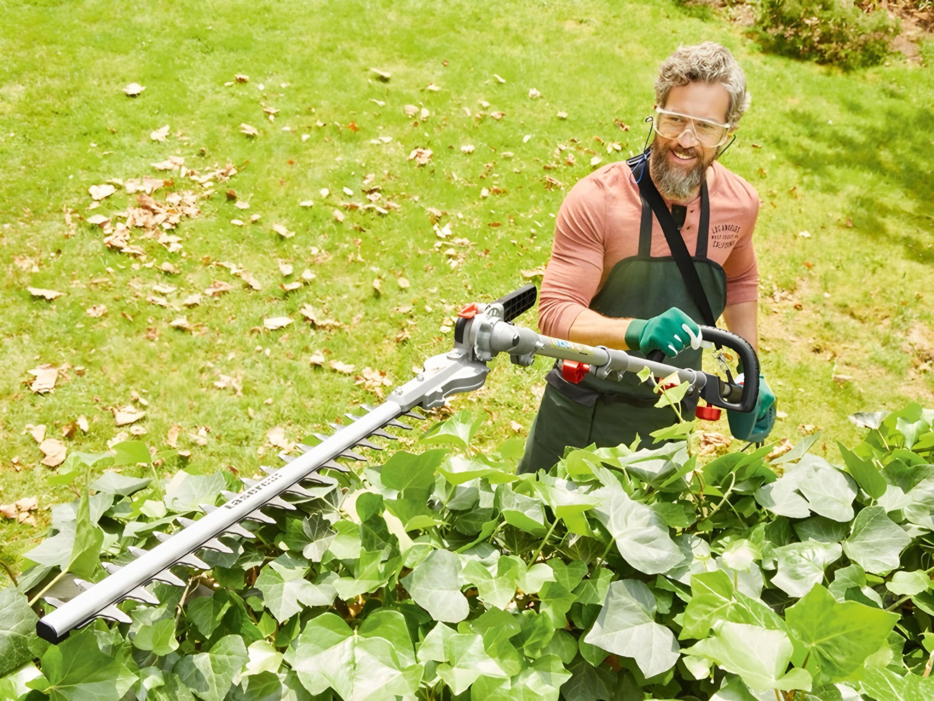 Кущоріз телескопічний PARKSIDE PHSL 900B4 - фото 7 Кущоріз телескопічний PARKSIDE PHSL 900B4 - фото 7