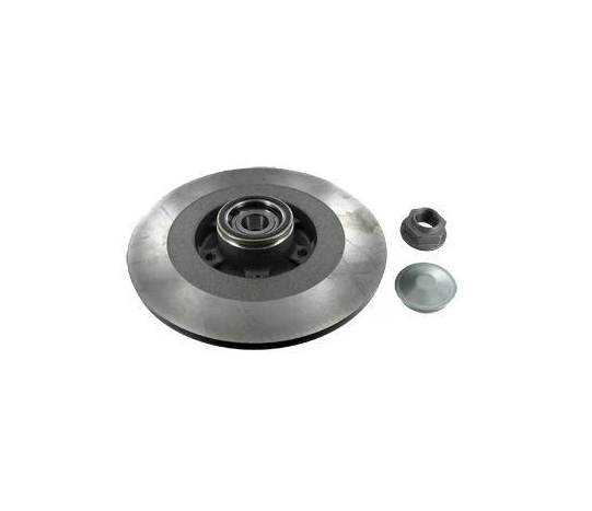 Диск гальмівний задній SKF Renault Laguna III 08- +ABS з підшипником 300x11 мм (VKBD 1030 SKF)
