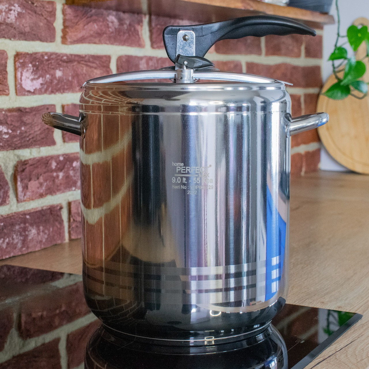 Скороварка Home Perfect из нержавеющей стали 14 л (718)