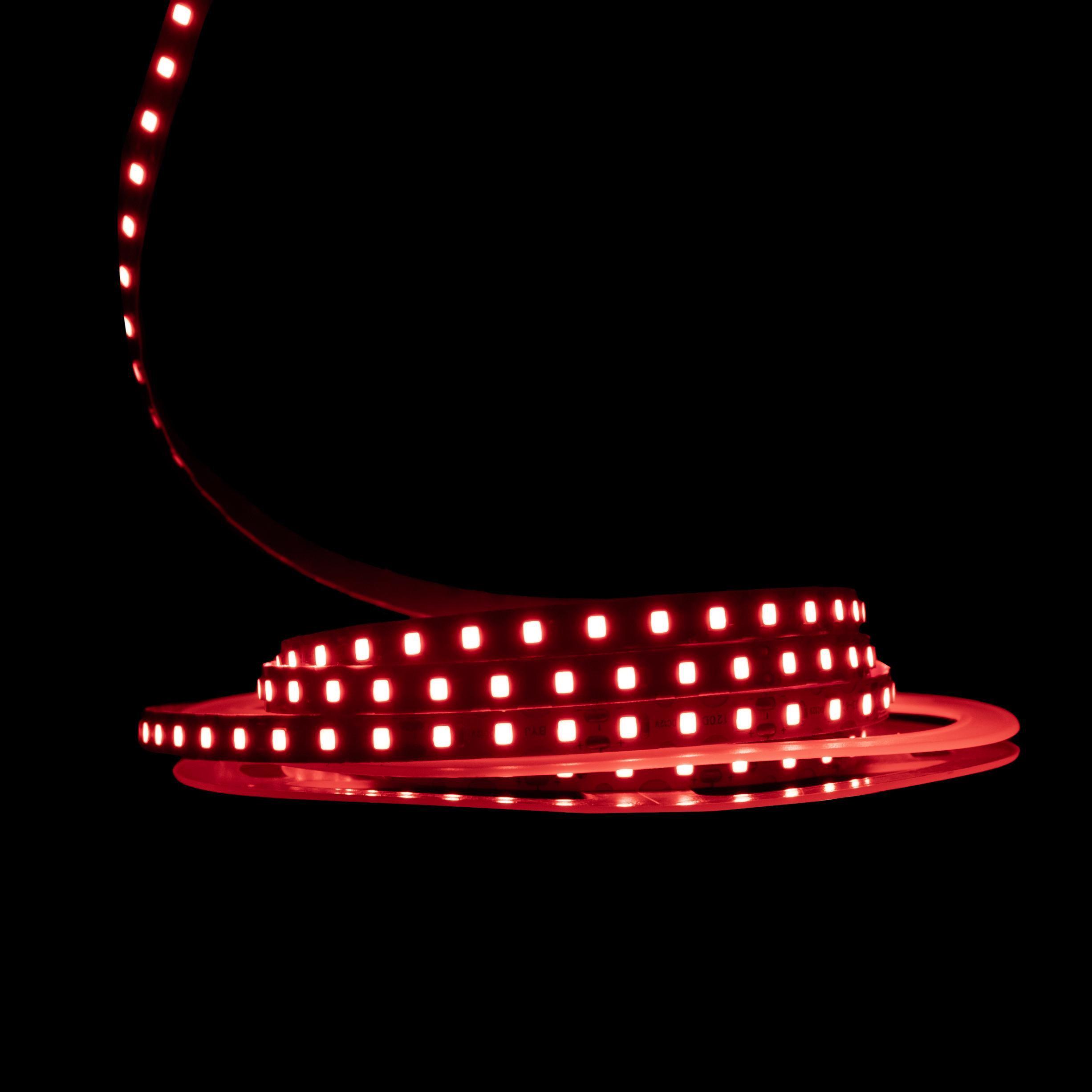 Светодиодная лента Prolum IP20 2835/120 S-TYPE Series-S 12V Красный (28522841) - фото 2 Светодиодная лента Prolum IP20 2835/120 S-TYPE Series-S 12V Красный (28522841) - фото 2