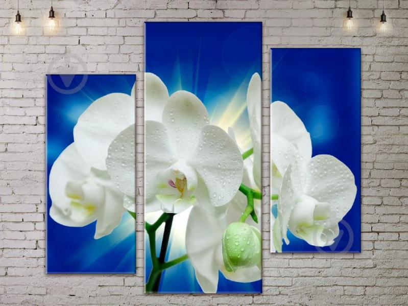 Модульная картина ArtStar цветы Орхидея ADFL0206 размер 150 х 180 см