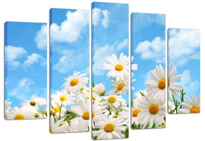 Картина модульная на холсте DK Небесные ромашки 108x80 см (PLM5-115)