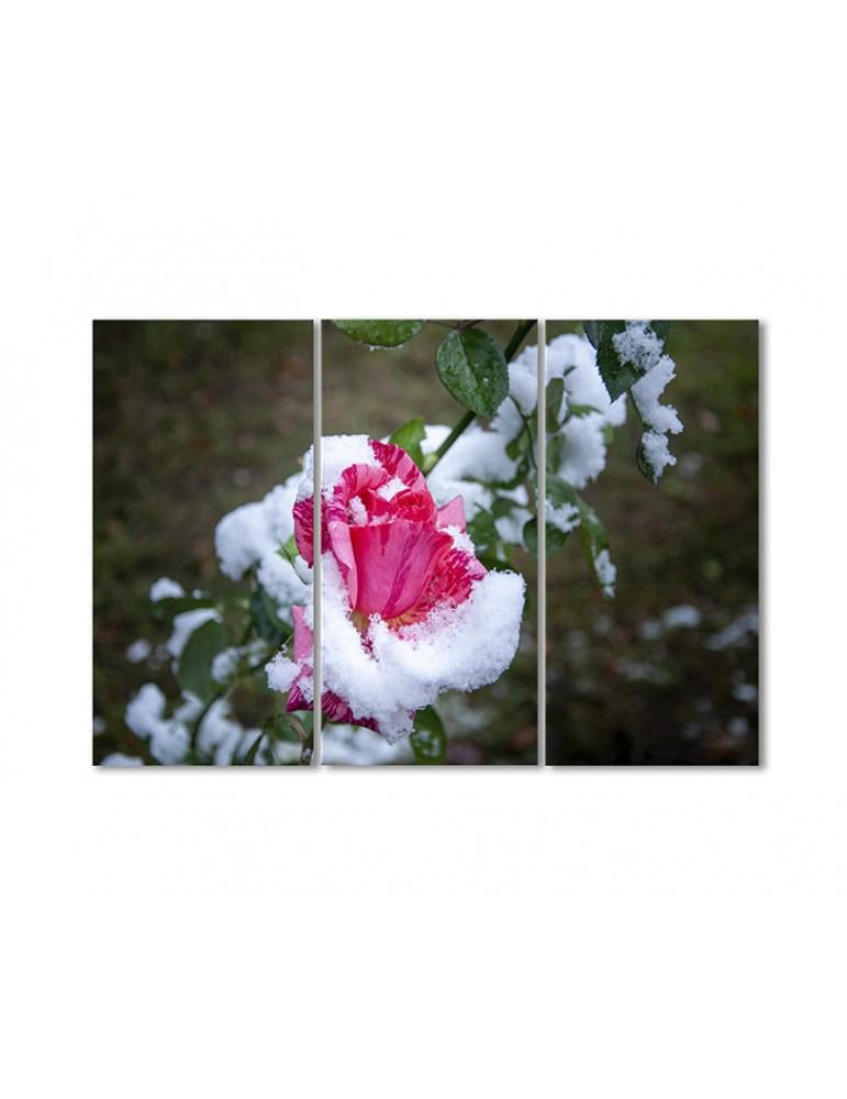 Картина модульная Розы в снегу 3 модуля 120x180 см