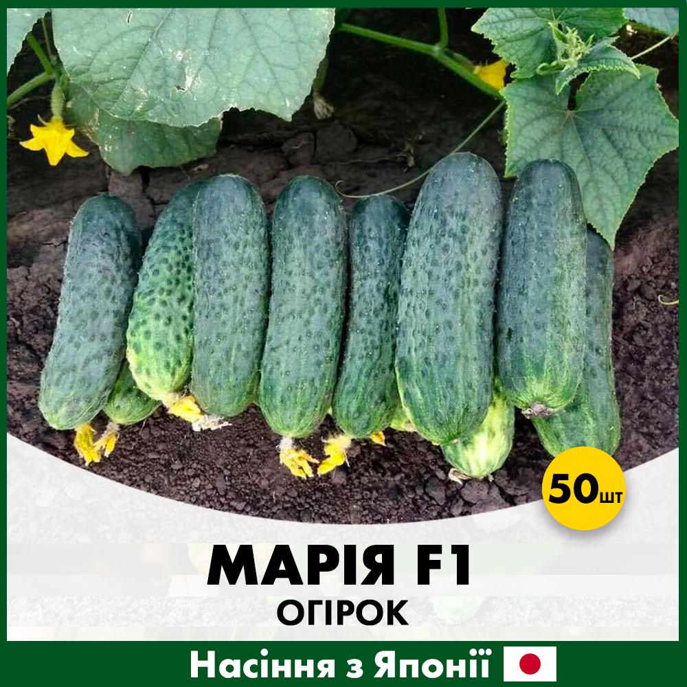 Семена огурца Sakata Мария F1 50 шт. (0022350)
