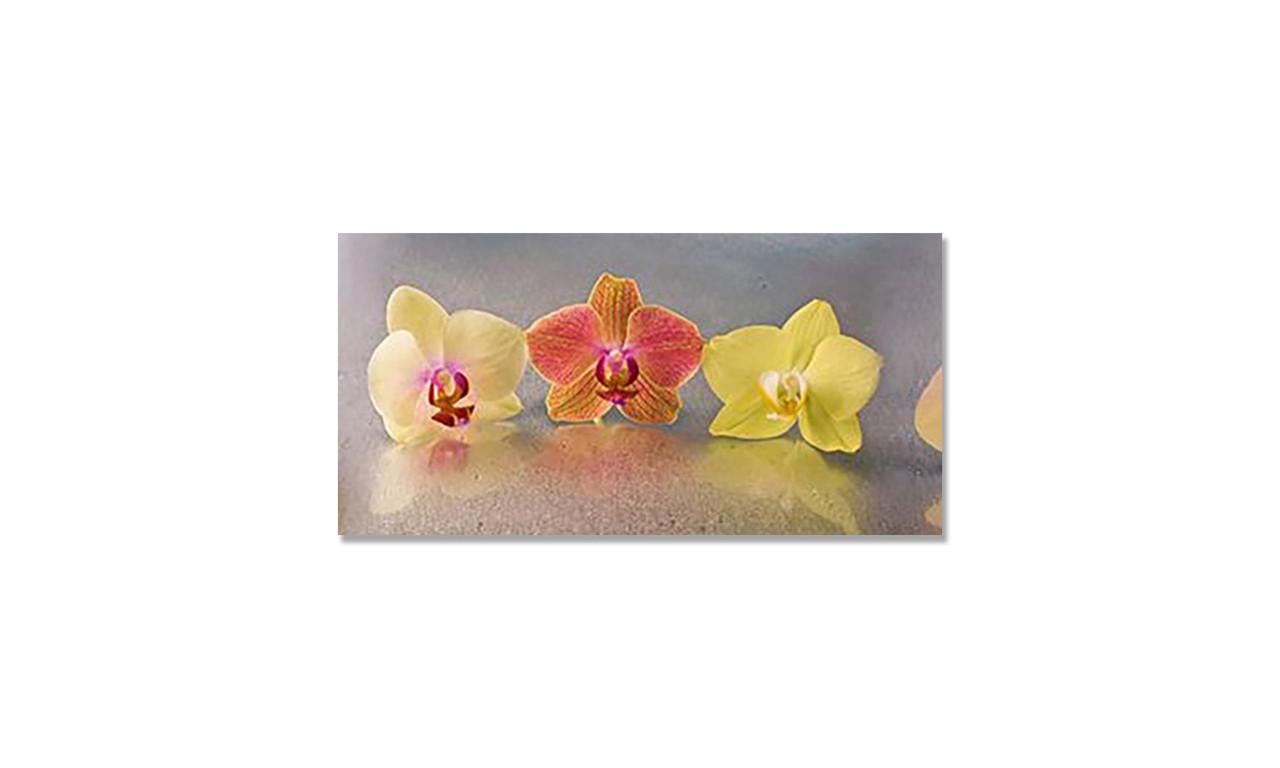 Наклейка виниловая на стол Zatarga Пастельные Орхиде 600х1200 мм (1283915637) Наклейка виниловая на стол Zatarga Пастельные Орхиде 600х1200 мм (1283915637)