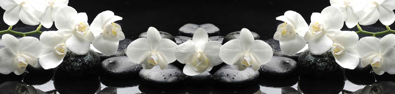 Наклейка виниловая на кухню Zatarga Белые орхидеи на черном фоне 600х3000 мм (1227169896)