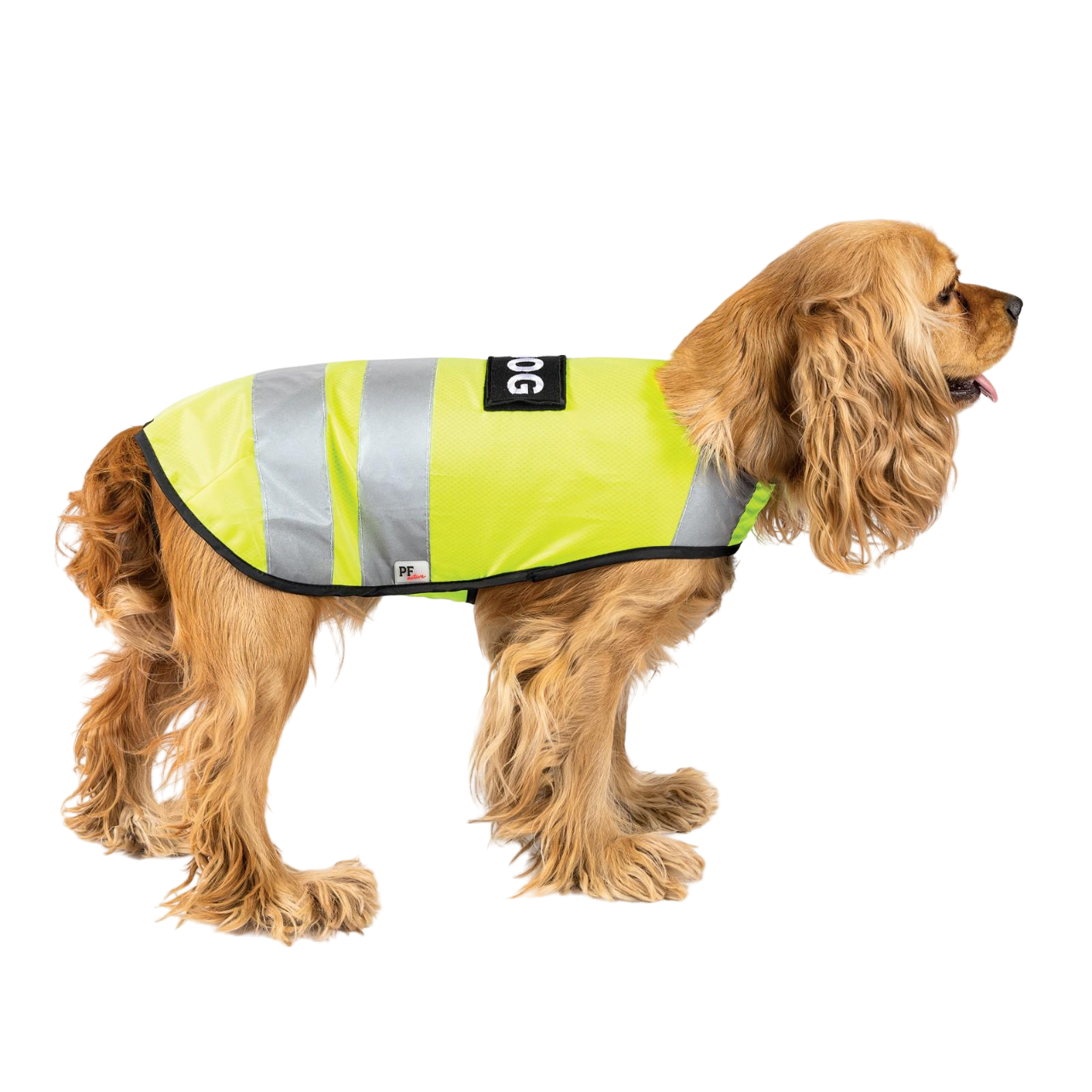 Жилет Pet Fashion Yellow vest S Салатовый (100545)