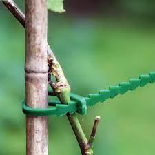 Хомут садовий для підв'язки рослин 17,5х0,8 см (1561904233) - фото 3