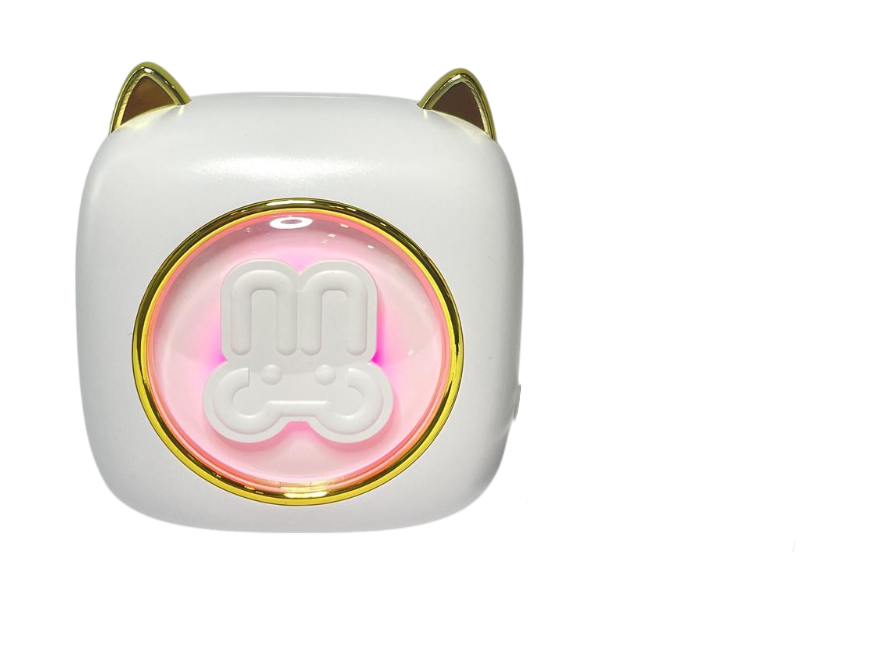 Термопринтер портативный с подсветкой с программой Fun Print