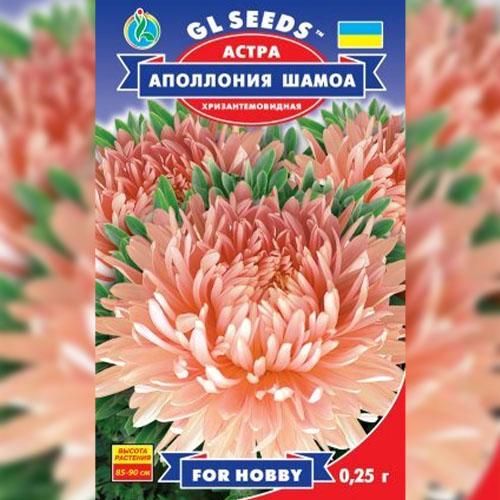 Семена Астра Florium Аполония Шамоа (17429) - фото 2 Семена Астра Florium Аполония Шамоа (17429) - фото 2