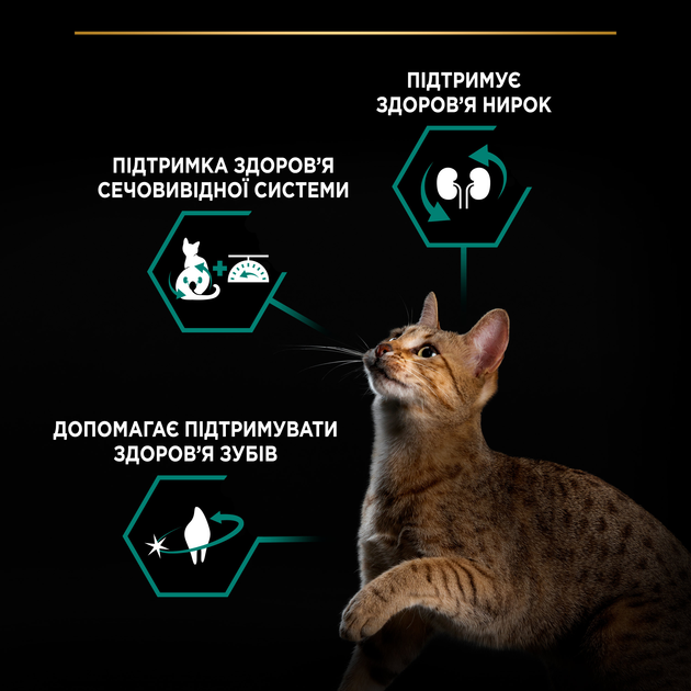 Корм сухой Purina Pro Plan Sterilised Renal Plus с индейкой 400 г - фото 3