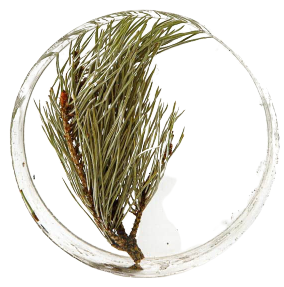 Епоксидна смола КЕ Slab-521 0,5 кг прозора (SL52100500) - фото 3 Епоксидна смола КЕ Slab-521 0,5 кг прозора (SL52100500) - фото 3