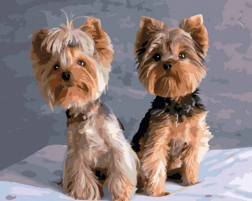 Картина по номерам Brushme Йорки 40x50 см (BRM42930)