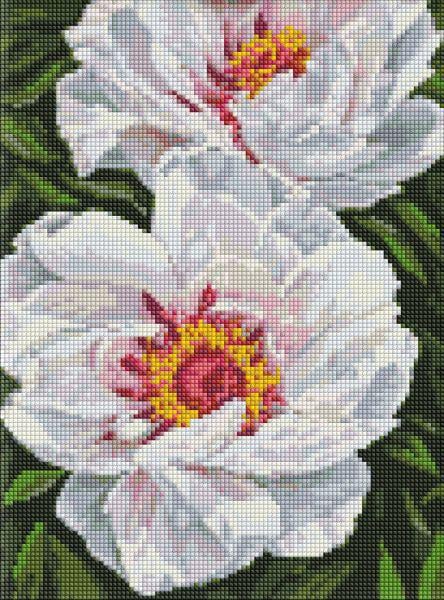 Алмазная мозаика на подрамнике Идейка Белые пионы 30х40 см (Id-AMO7753)