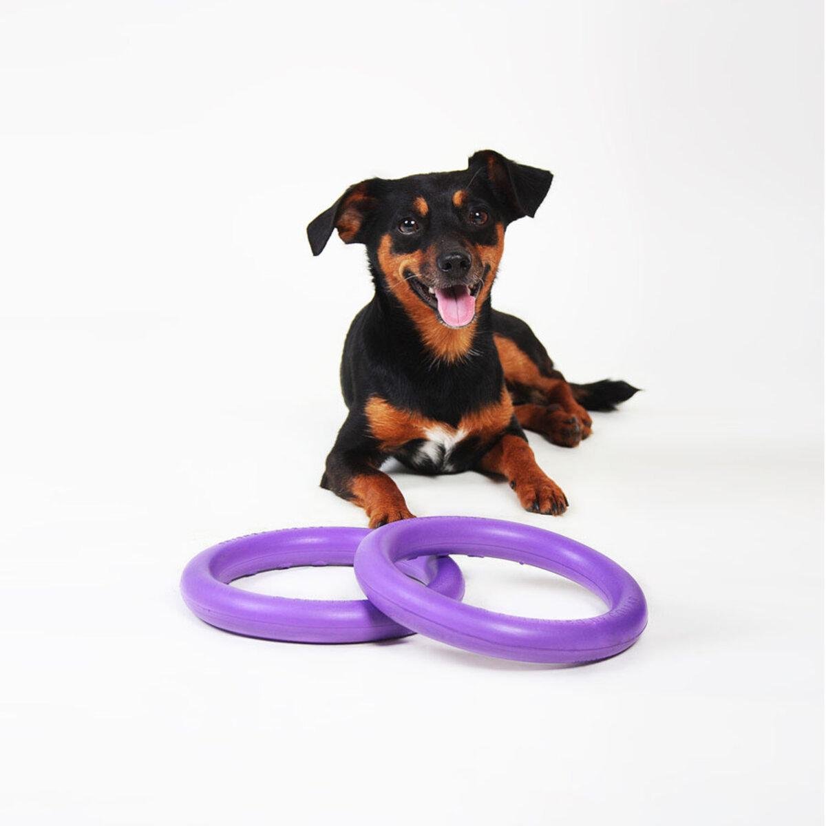 Тренувальний снаряд для собак PULLER Мini D 18 см (25881230) - фото 3 Тренувальний снаряд для собак PULLER Мini D 18 см (25881230) - фото 3