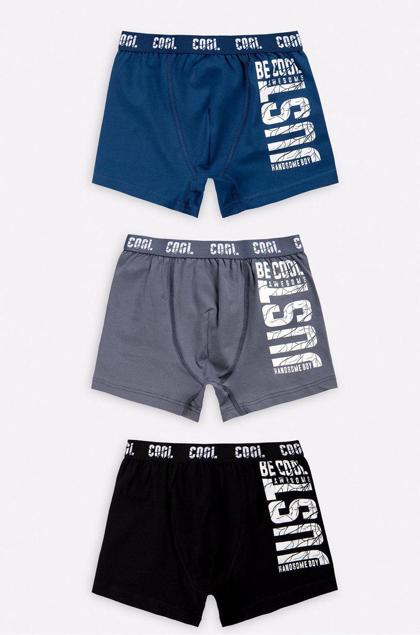 Труси боксери BAYKAR для хлопчика підлітка комплект 3 шт. р. 8 170-176 см 15-16 років (3951) - фото 3 Труси боксери BAYKAR для хлопчика підлітка комплект 3 шт. р. 8 170-176 см 15-16 років (3951) - фото 3