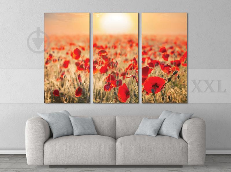 Модульна картина Poster-land Маки в Полі Art-64_XXL