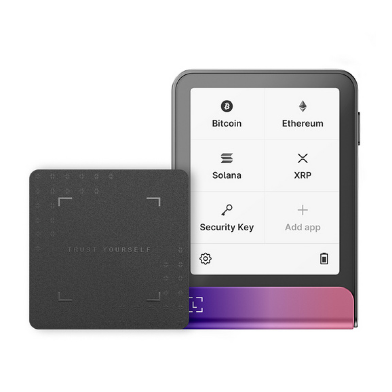 Криптокошелек аппаратный Ledger Flex Crimson Magenta (LDG_flex_G)