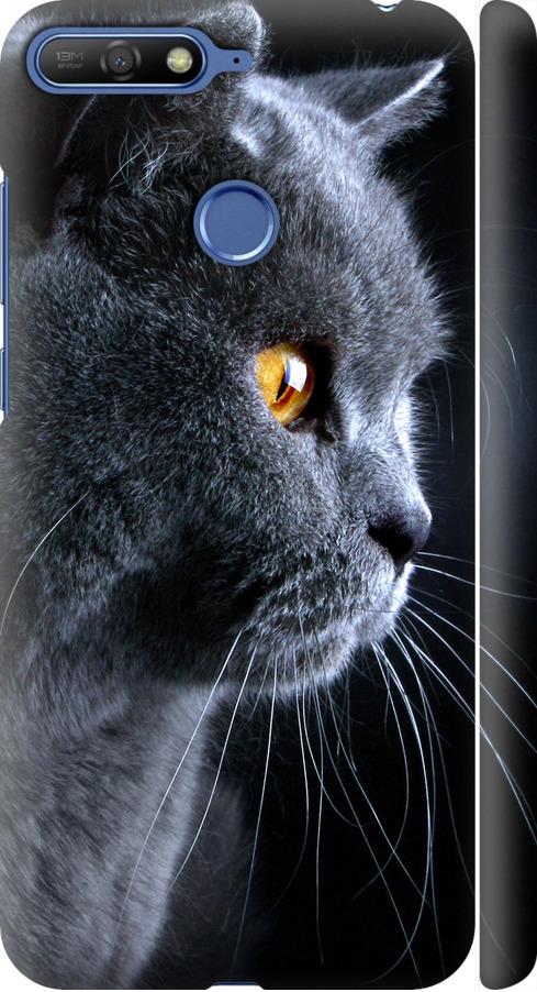 Чехол на Huawei Honor 7A Pro Красивый кот (3038m-1440-42517) Чехол на Huawei Honor 7A Pro Красивый кот (3038m-1440-42517)
