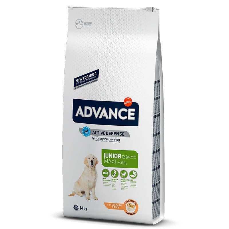 Корм сухий для молодих собак великих порід Advance Dog Junior Maxi Chicken&Rice з куркою та рисом 14 кг (923540/8410650235400)