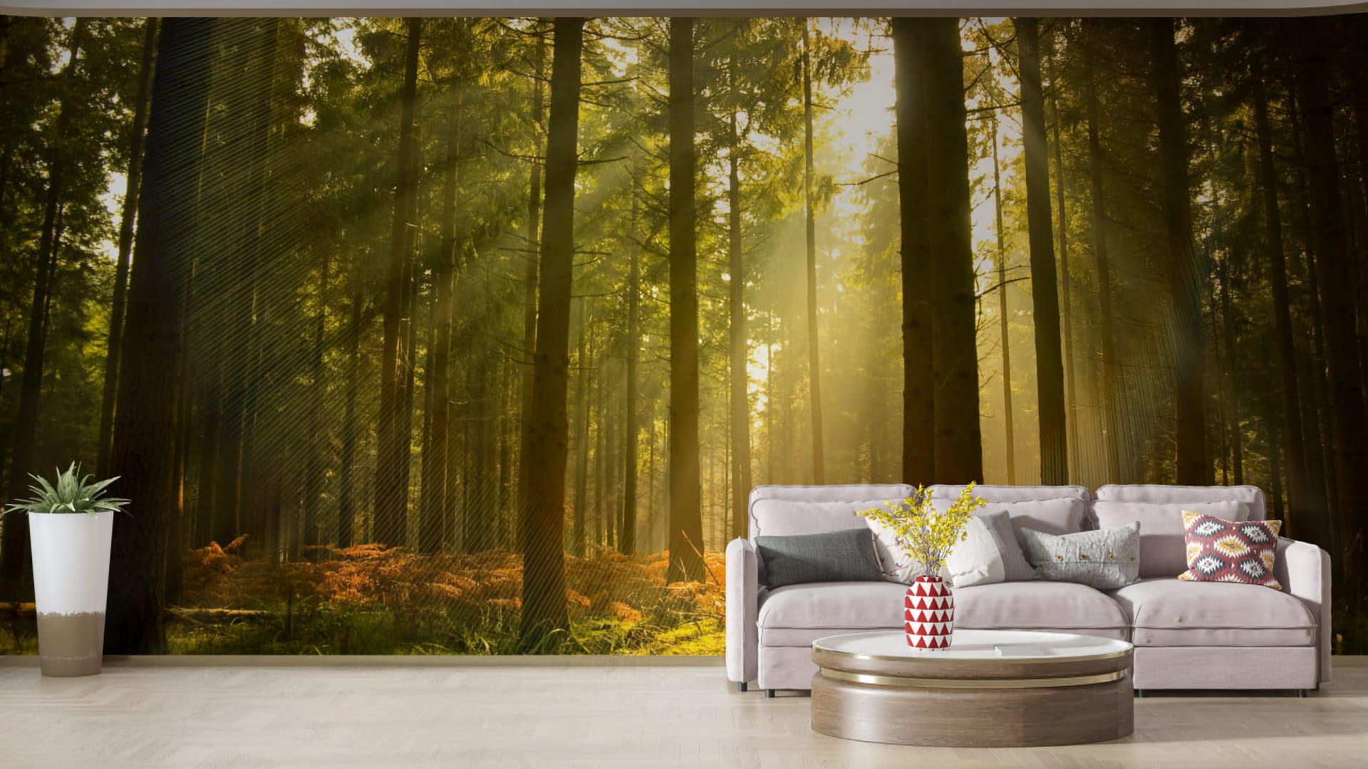 Фотошпалери флізелінові Styleo Print-walls Світанок у лісі 047 350х270 см (Pw-047/3)