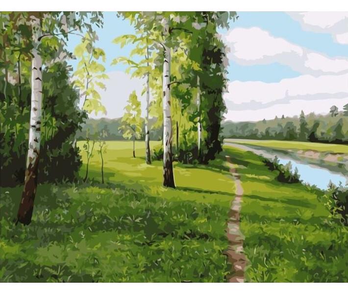 Картина за номерами Strateg Берізки 40x50 см (VA-1807)