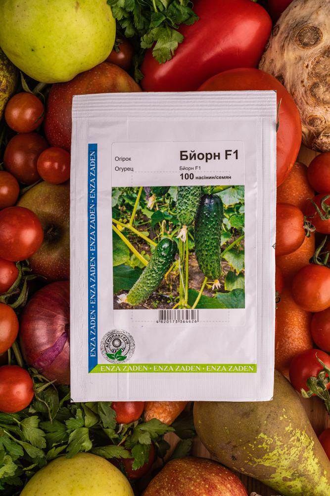 Семена Enza Zaden Огурец Бйорн F1 100 шт. (234486)