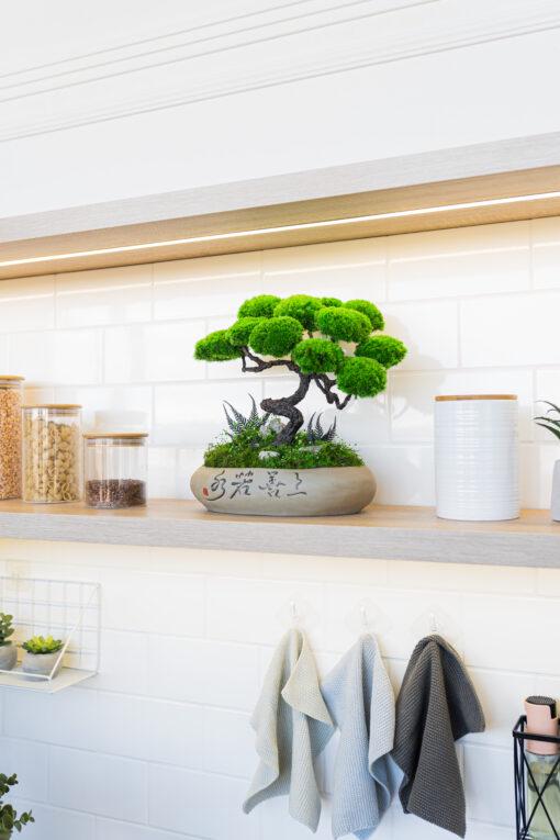 Бонсай стабілізований Самурай 31х32 см - фото 6