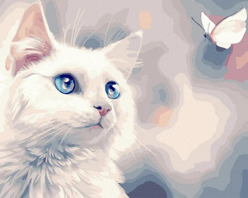 Картина по номерам Brushme GX40251 Котик с бабочкой 50x40 см (27877)