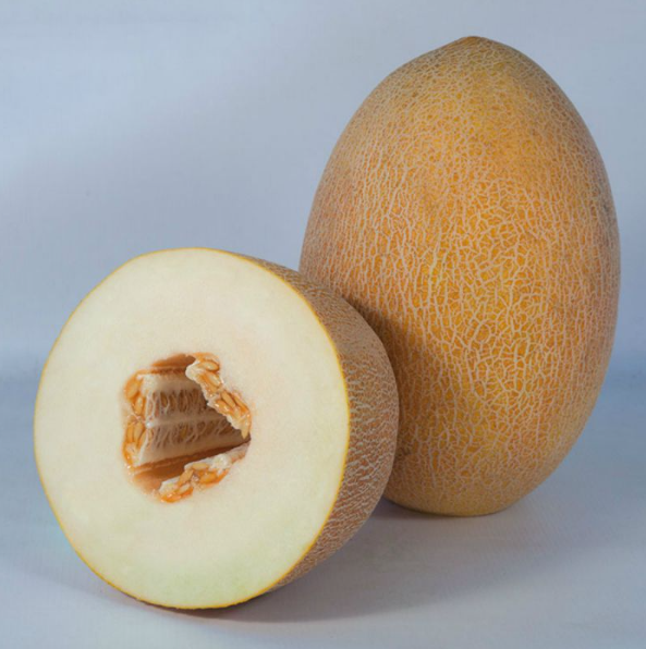 Насіння Диня KS 6188 F1 ТД Гекса-Україна 01-04-083 1000 шт. (IR02243)