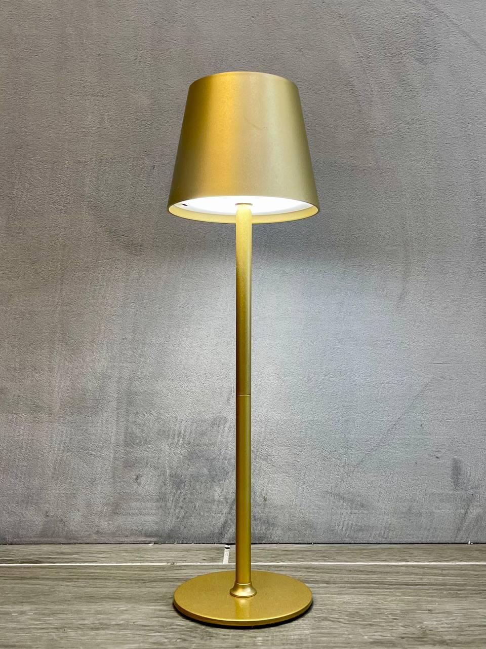 Настільна лампа акумуляторна Zilini 004 Золотий (23885109) - фото 1 Настільна лампа акумуляторна Zilini 004 Золотий (23885109) - фото 1