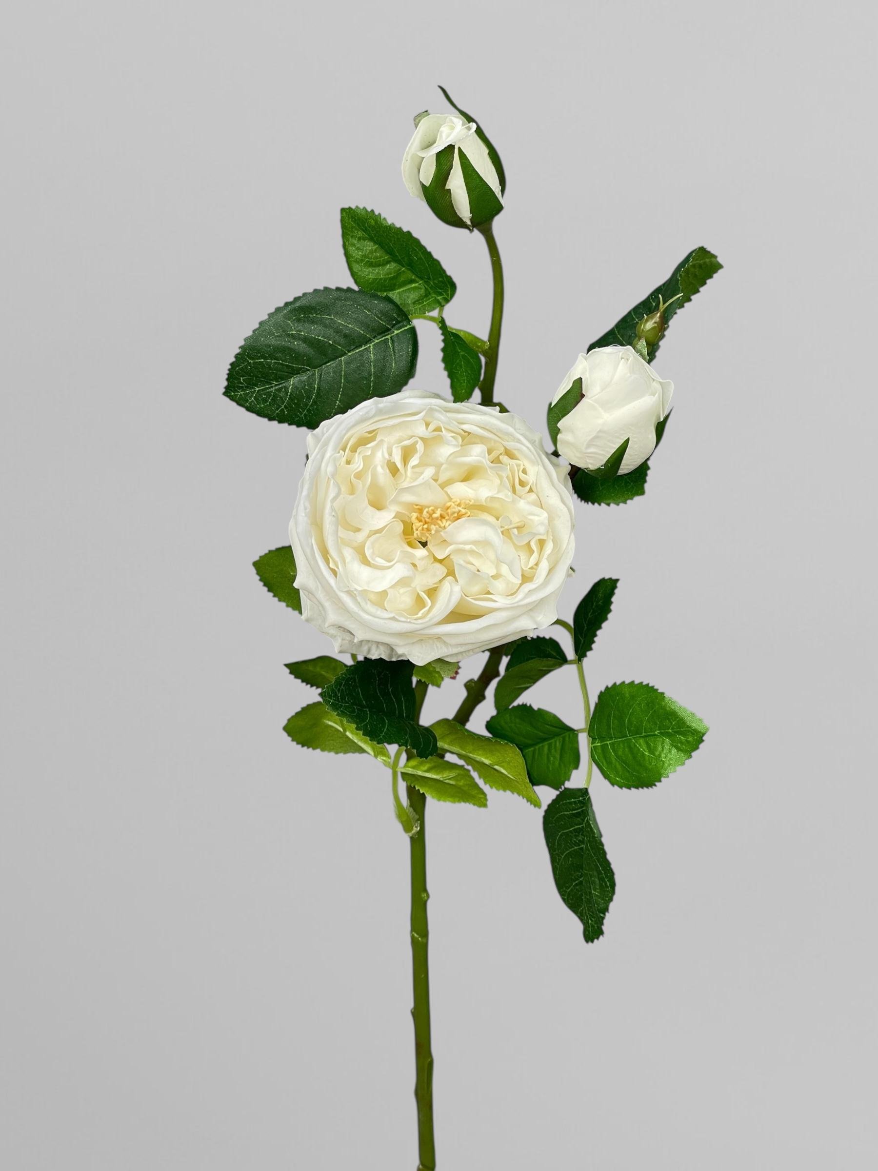 Штучна троянда Девіда Остіна на стеблі 72 см Білий (К02034) - фото 1 Штучна троянда Девіда Остіна на стеблі 72 см Білий (К02034) - фото 1