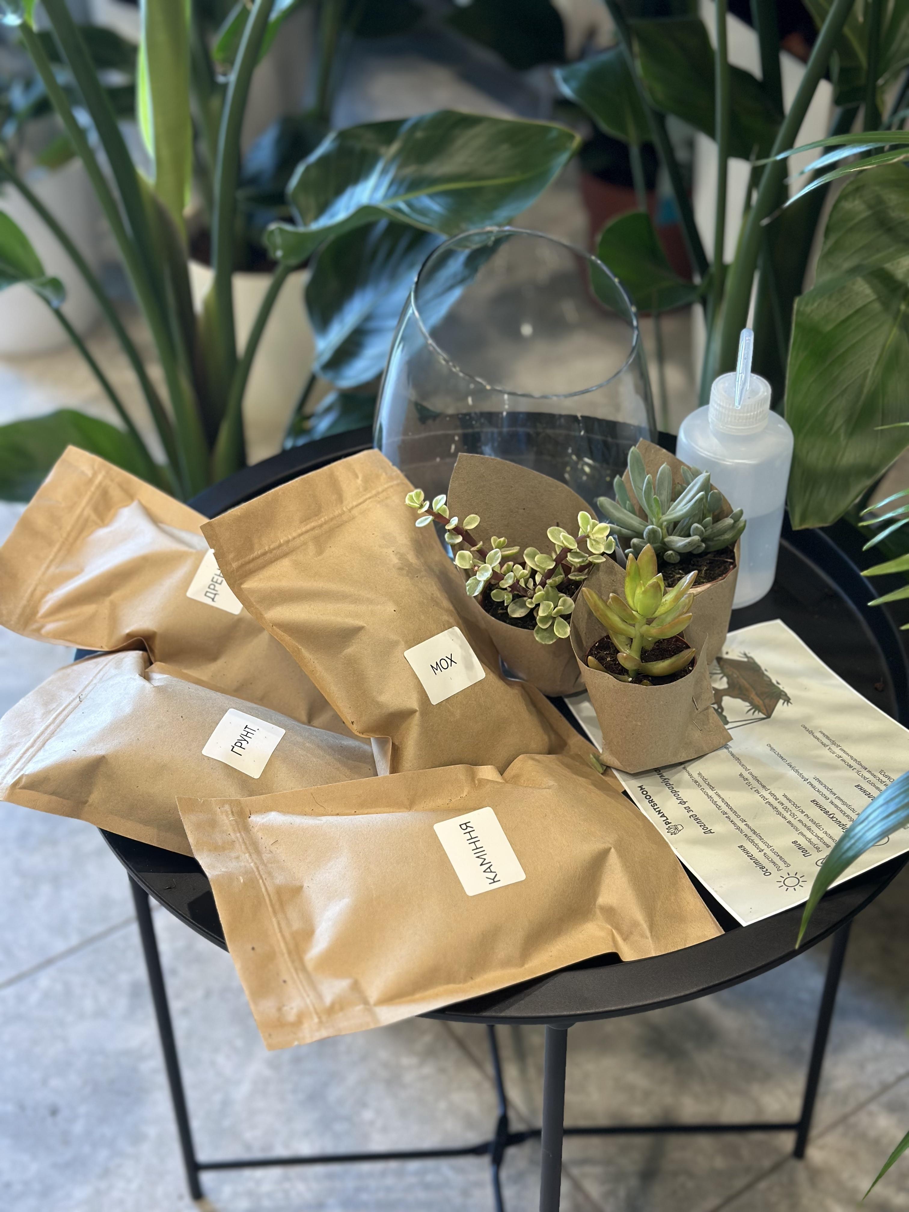 Набір для створення флораріума Plants room (29194827)