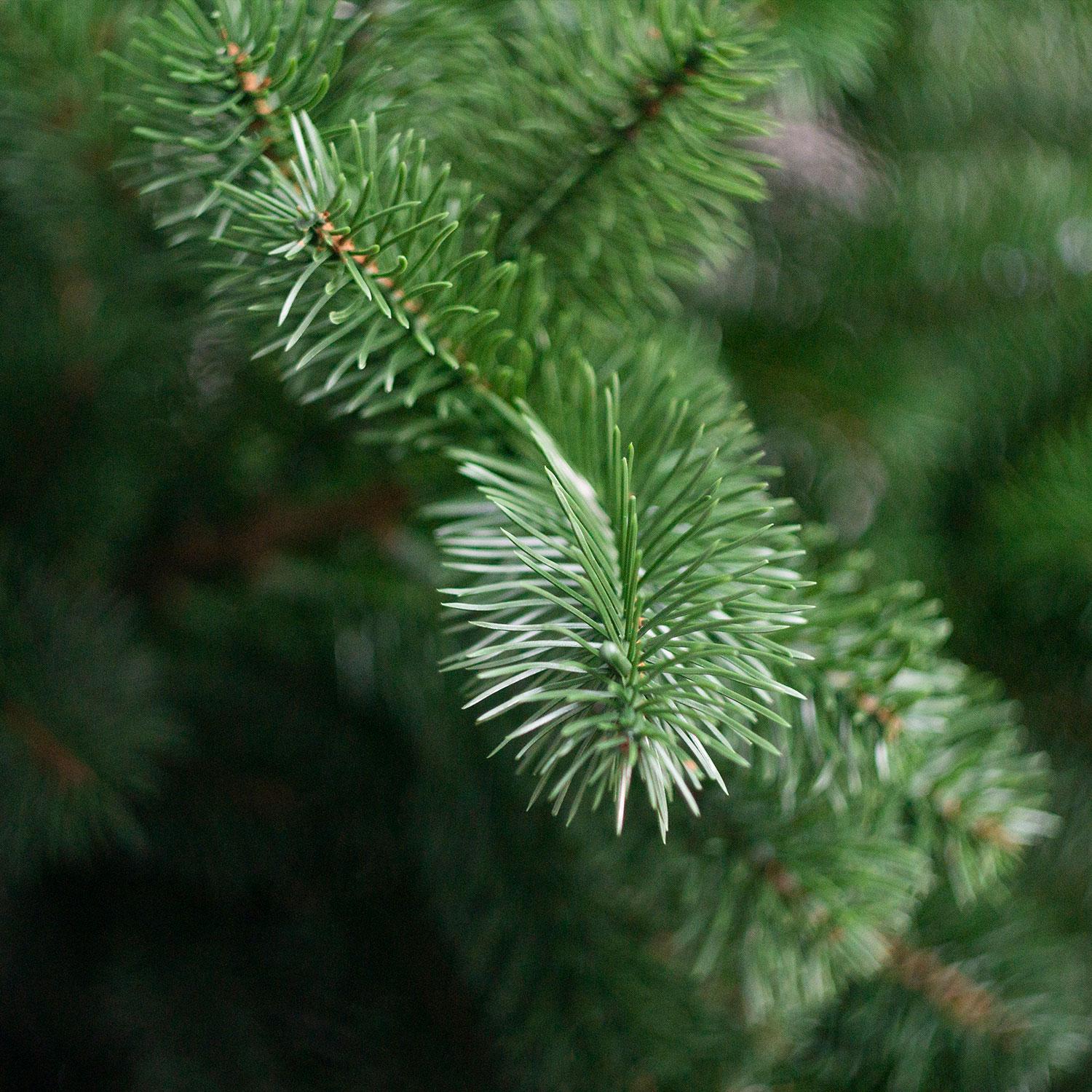 Елка литая Lux 1,2 м Зеленый (110/120/G) - фото 4 Елка литая Lux 1,2 м Зеленый (110/120/G) - фото 4