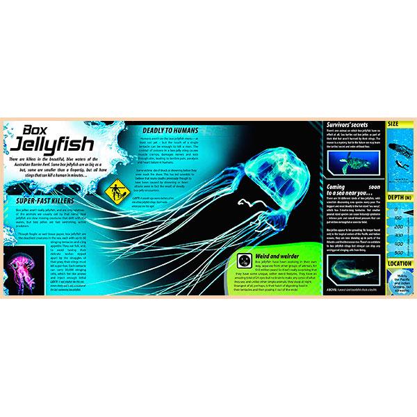 Книга "iExplore - Ocean Monsters: Interact with Lifesize Sea Predators!" Nicola Davies (ISBN:9781783122332) - фото 2