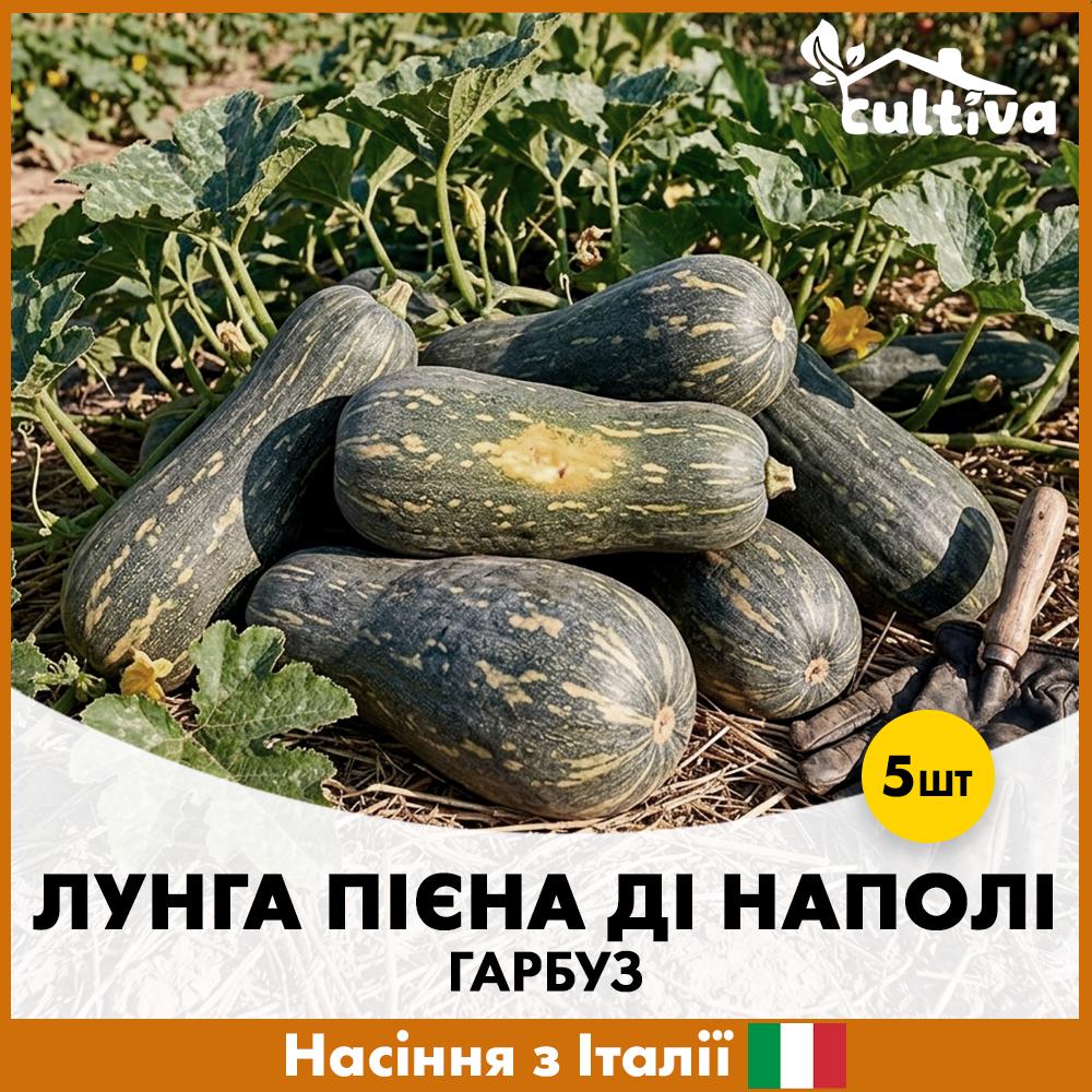 Семена тыквы Hortus Лунга Пиена Ди Наполи 5 шт. (R51201)