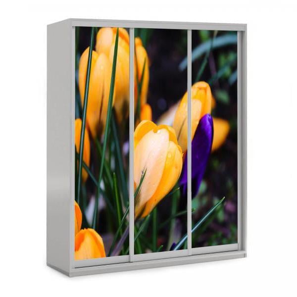 Шкаф-купе трехдверный Viorina-Deko 160х60х240 см серый/фотопечать 80 (ЛДСП)