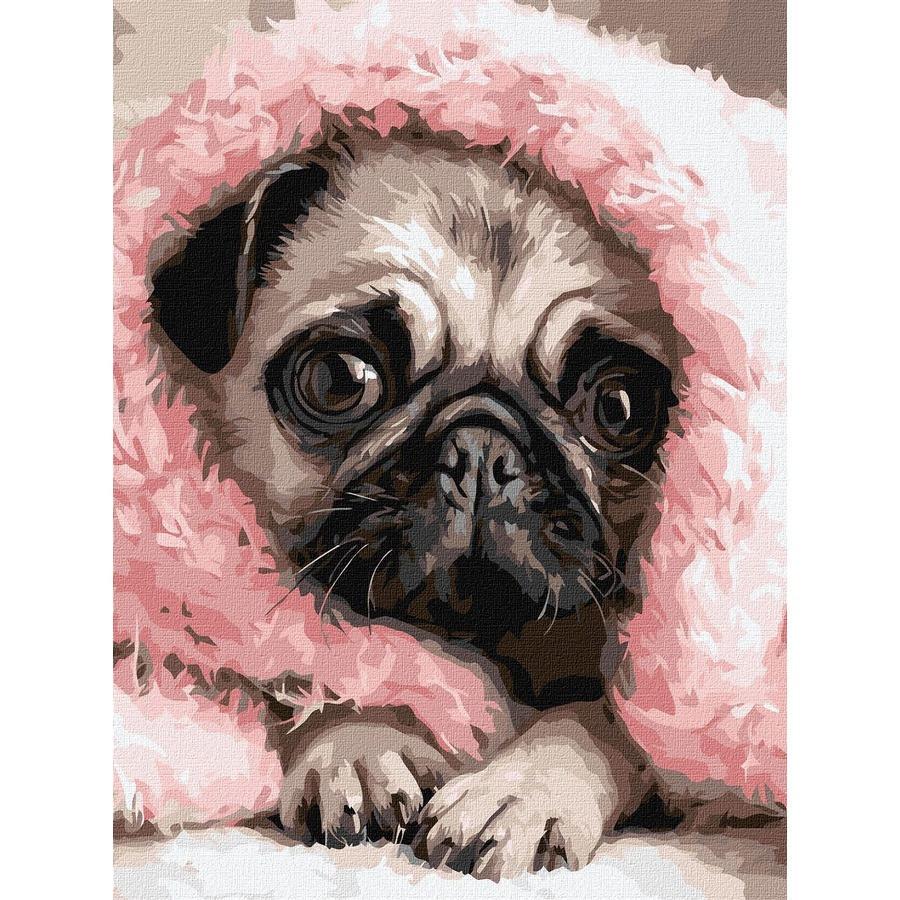 Картина по номерам Ideyka Укутанный мопс 30x40 см (KHO6839)