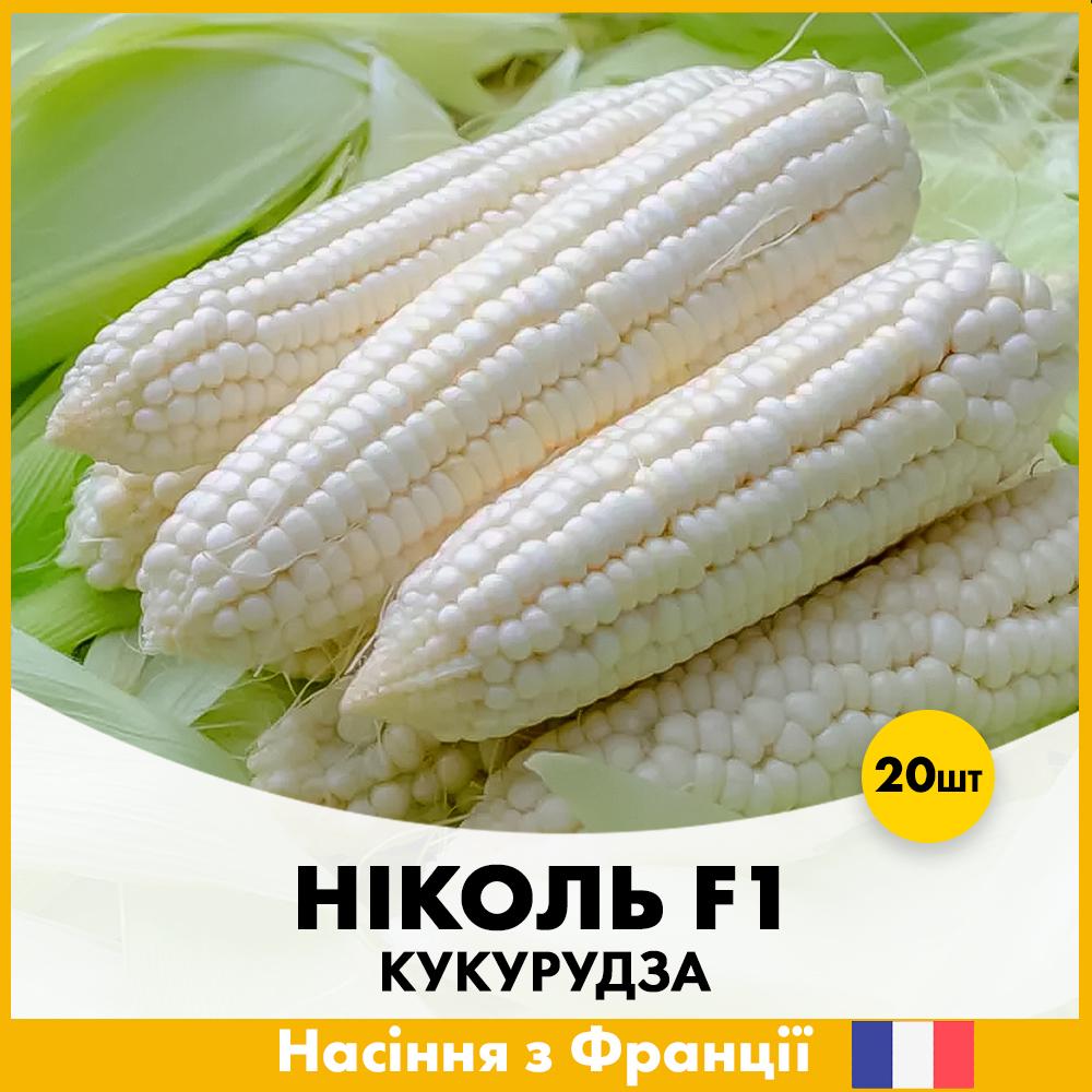 Семена кукурузы Clause Сахарная Николь F1 20 шт. (R30130)