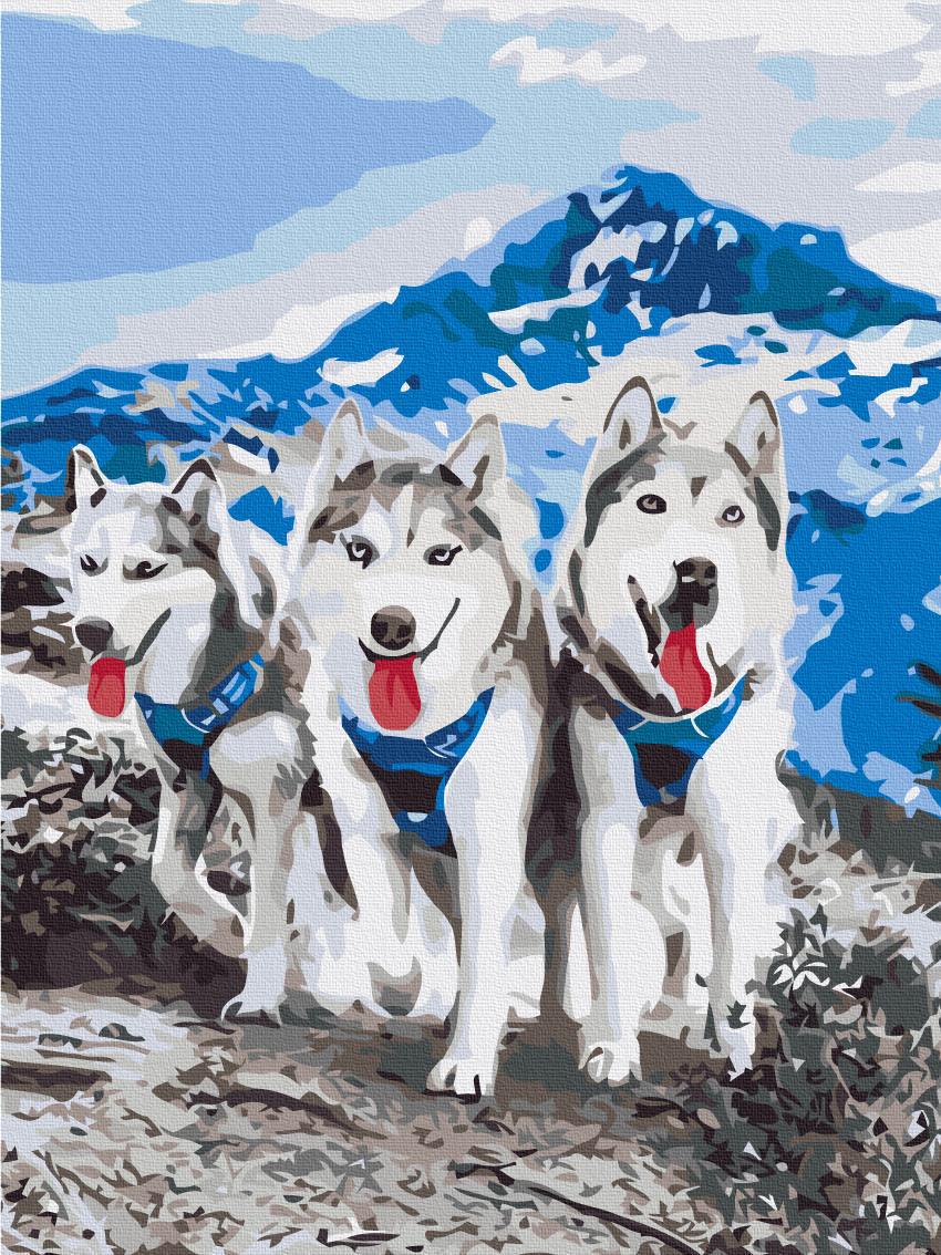 Картина за номерами Brushme Друзі хаски 30x40 см (RBS52389)