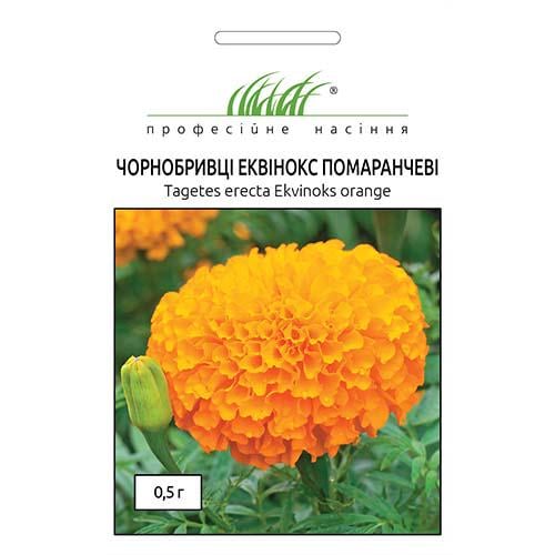 Семена Бархатцы Florium Эквинокс Оранжевый (4948) - фото 2 Семена Бархатцы Florium Эквинокс Оранжевый (4948) - фото 2