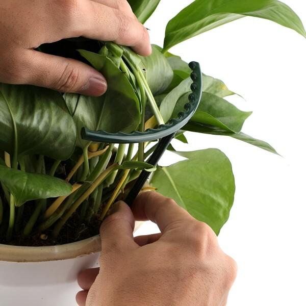 Подпорки для комнатных цветов 12 больших/12 малых Зеленый (C00082-1) - фото 6 Подпорки для комнатных цветов 12 больших/12 малых Зеленый (C00082-1) - фото 6