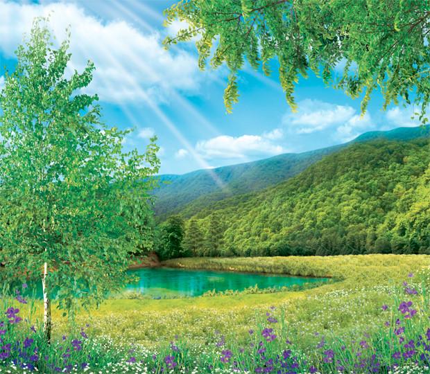 Фотошпалери на паперовій основі Ніка Голос тиші 20Л 242х280 см (2000000454627)