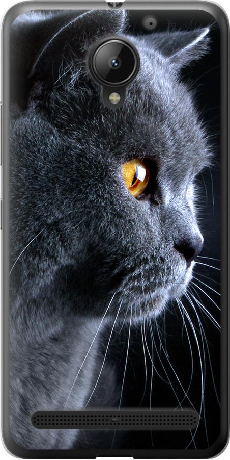 Чехол на Lenovo Vibe C2 Красивый кот (3038u-397-42517)