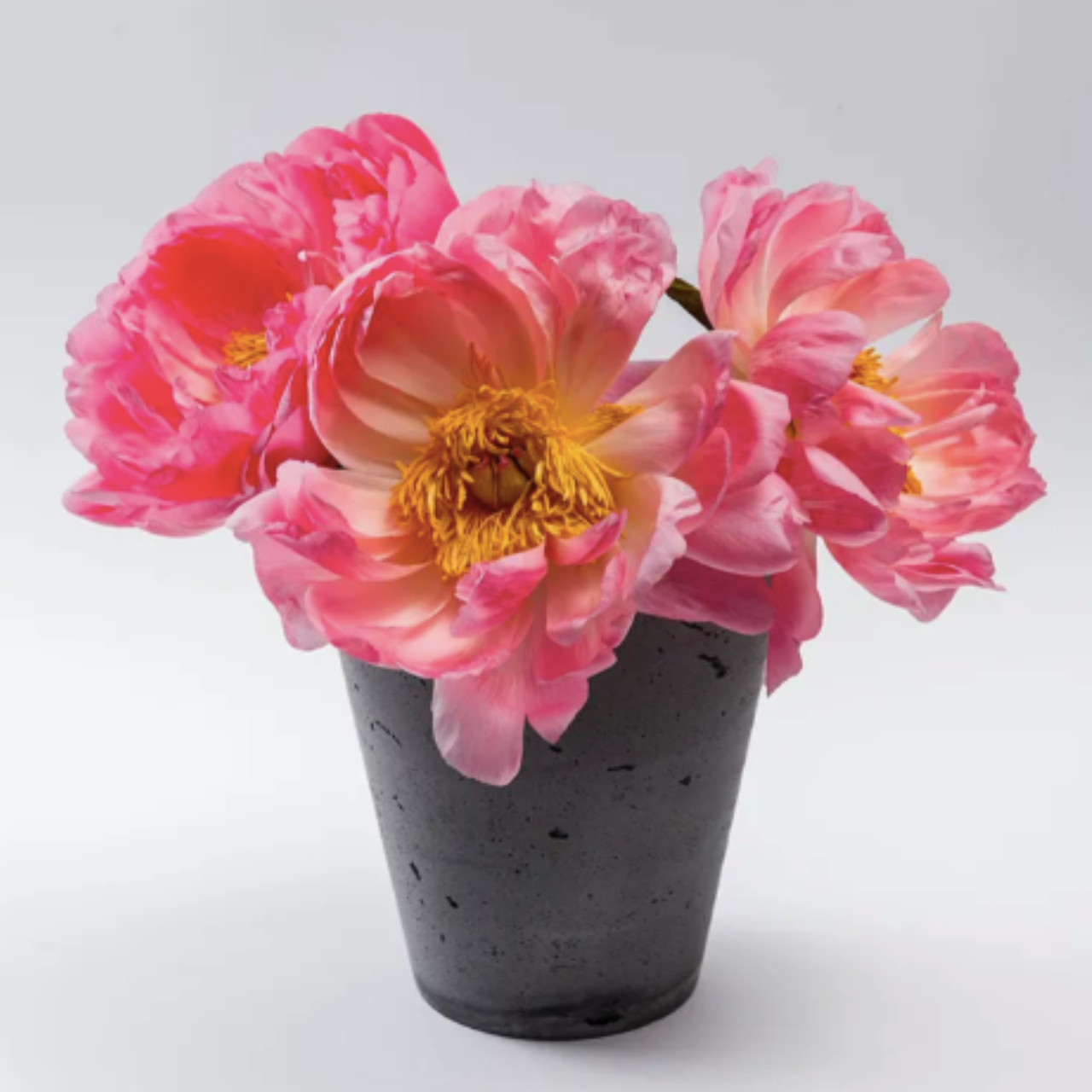 Набор для фотосъемки виниловый фон/держатель стойка (VnT120) - фото 9 Набор для фотосъемки виниловый фон/держатель стойка (VnT120) - фото 9